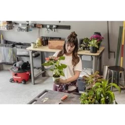 Wholesale ๐ Craftsman 2 in. L X 11 in. W Wet/Dry Vac Dust Bag 12 gal 2 pc ๐ 13 Wholesale ๐ Craftsman 2 in. L X 11 in. W Wet/Dry Vac Dust Bag 12 gal 2 pc ๐ -Craftsman Sales 2022 441af58f ec12 47dc 9cd0 3724fa2353ab